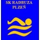 Team profile picture Sportovní klub Radbuza Plzeň