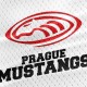 Foto des Teams Prague Mustangs