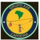 Team profile picture Axé Capoeira ČR