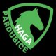 Team profile picture HAGA Pardubice