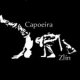 Profilový obrázek skupiny Capoeira Zlín