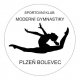 Team profile picture SK MG Plzeň - Bolevec