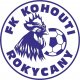 Foto des Teams FK Kohouti Rokycany