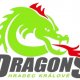 Profilový obrázek skupiny Dragons