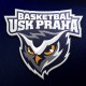 Profilový obrázek skupiny USK Praha