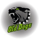 Team profile picture LC Old Dogs Plzeň