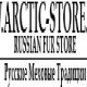 Team profile picture Arctic Store