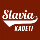 Profilový obrázek skupiny Slavia Plzeň - SOFTBALL - Kadeti