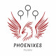 Foto des Teams Phoenixes Pilsen - quidditch team