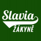 Foto des Teams Slavia Plzeň - SOFTBALL - Žákyně