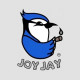 Profilový obrázek skupiny Joy Jay