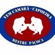 Profilový obrázek skupiny Vem Camará Capoeira Plzeň
