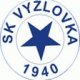 Foto des Teams SK Vyžlovka