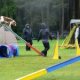 Foto des Teams Agility Křimice