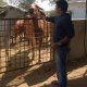 Srini Gurram