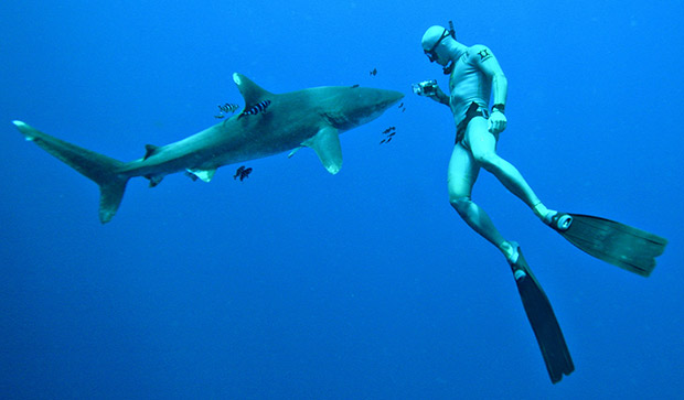 freediving